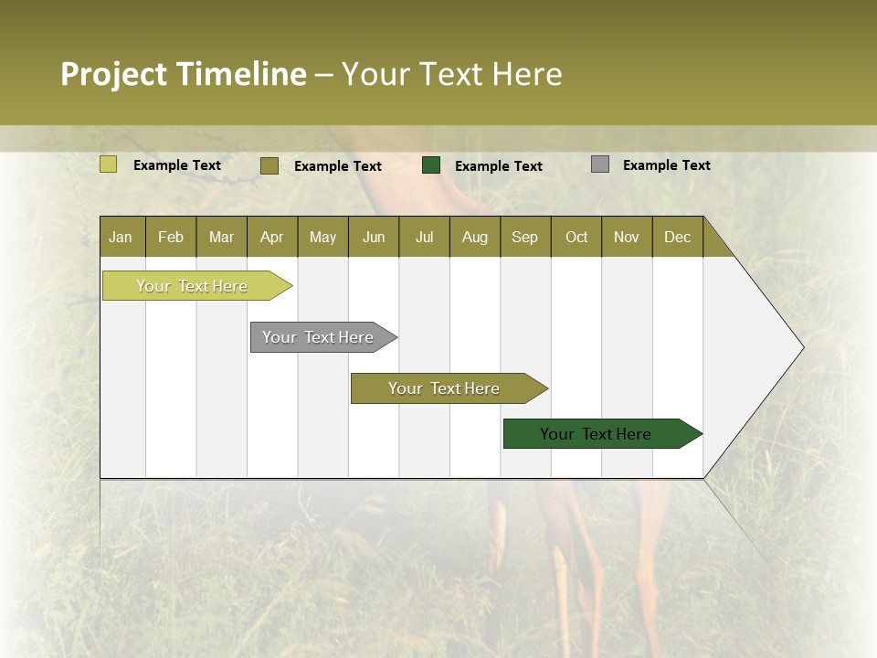 Fruit Vegetarian Juicy PowerPoint Template