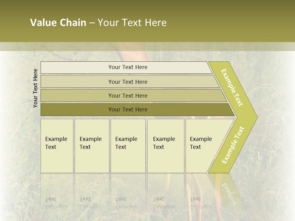 Fruit Vegetarian Juicy PowerPoint Template