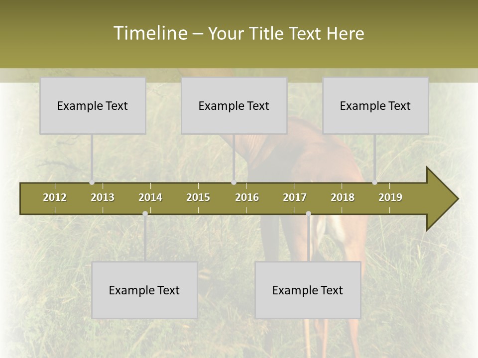 Fruit Vegetarian Juicy PowerPoint Template