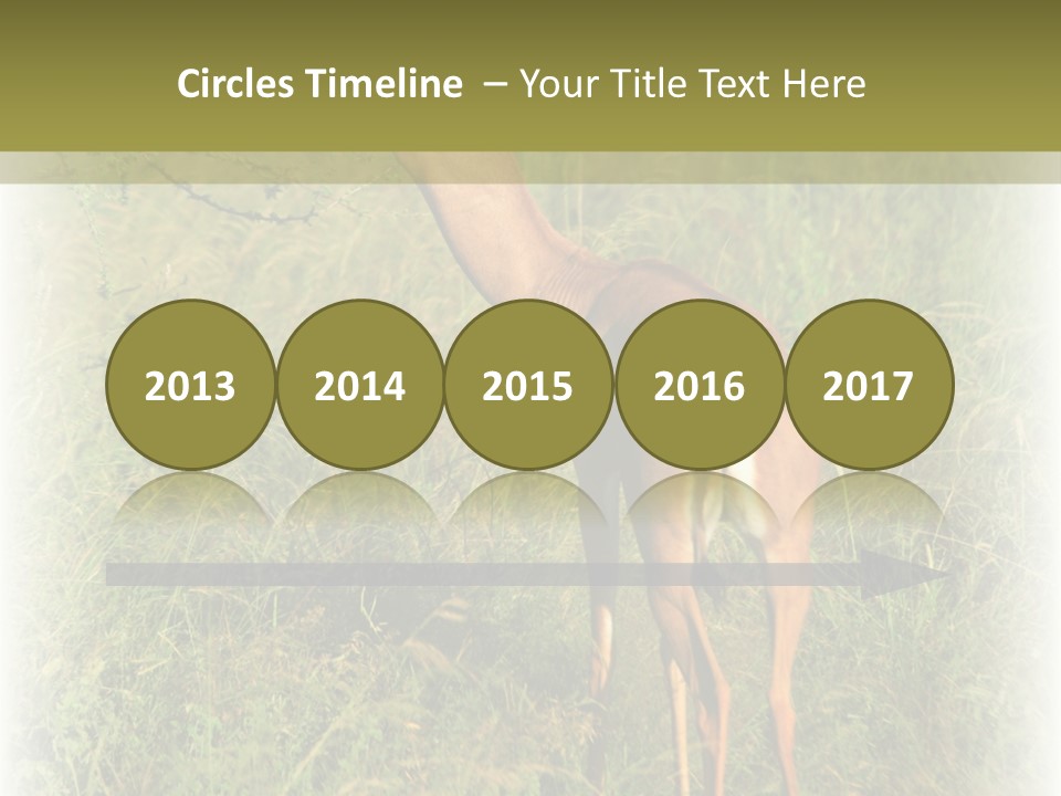 Fruit Vegetarian Juicy PowerPoint Template