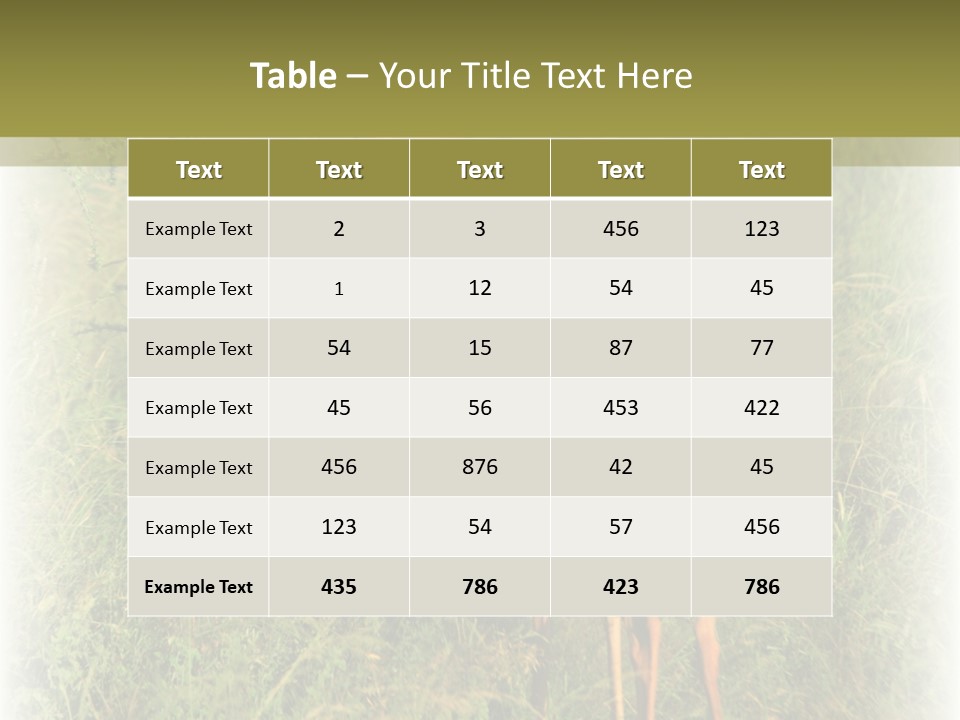 Fruit Vegetarian Juicy PowerPoint Template