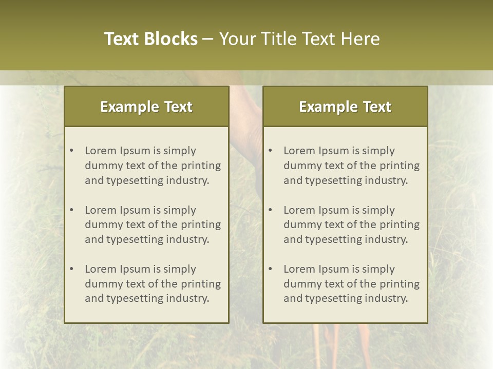 Fruit Vegetarian Juicy PowerPoint Template