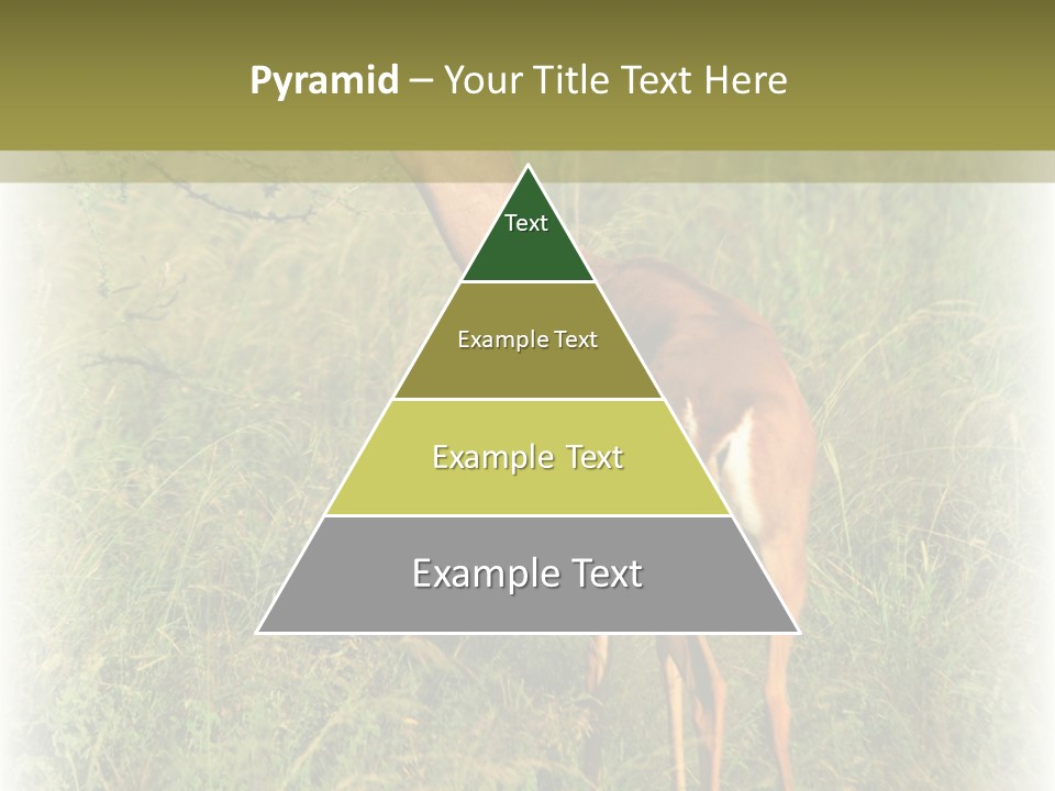Fruit Vegetarian Juicy PowerPoint Template