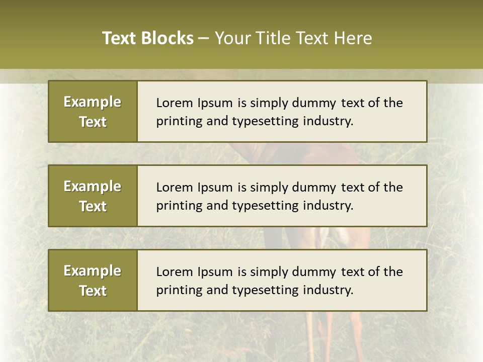 Fruit Vegetarian Juicy PowerPoint Template