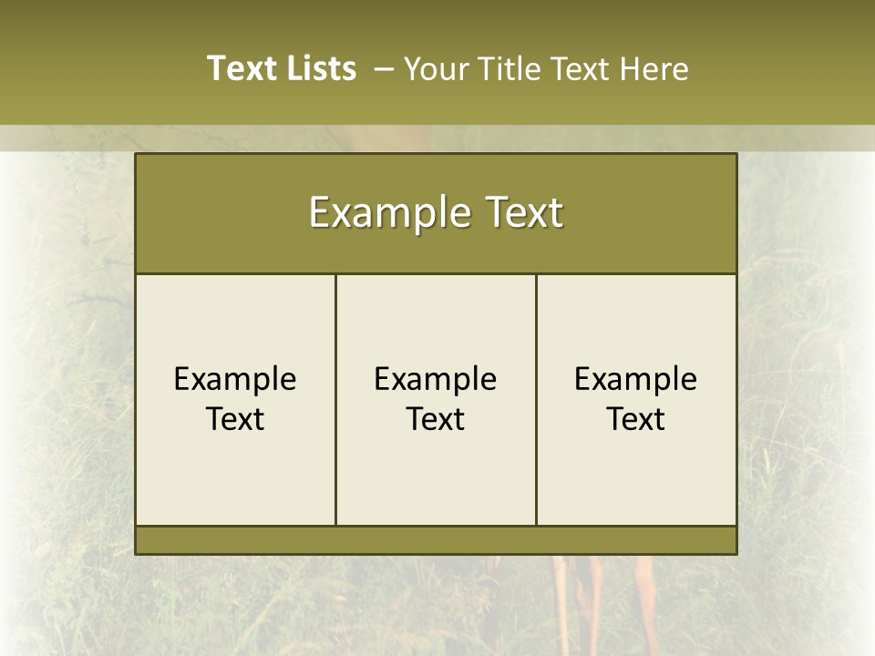 Fruit Vegetarian Juicy PowerPoint Template