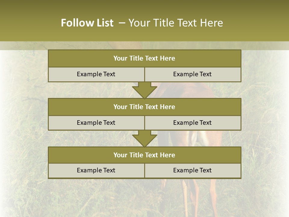 Fruit Vegetarian Juicy PowerPoint Template