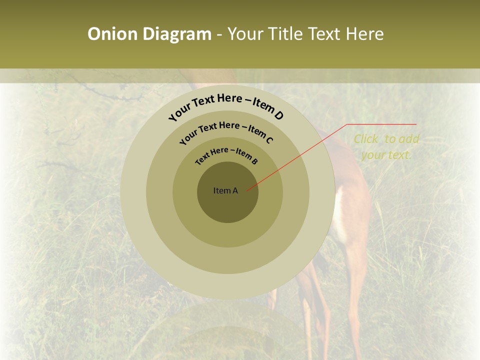Fruit Vegetarian Juicy PowerPoint Template
