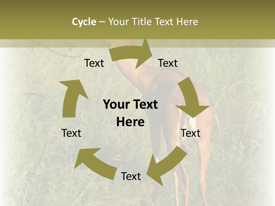 Fruit Vegetarian Juicy PowerPoint Template