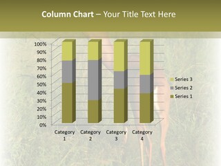 Fruit Vegetarian Juicy PowerPoint Template