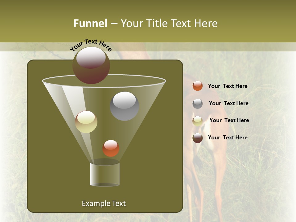 Fruit Vegetarian Juicy PowerPoint Template