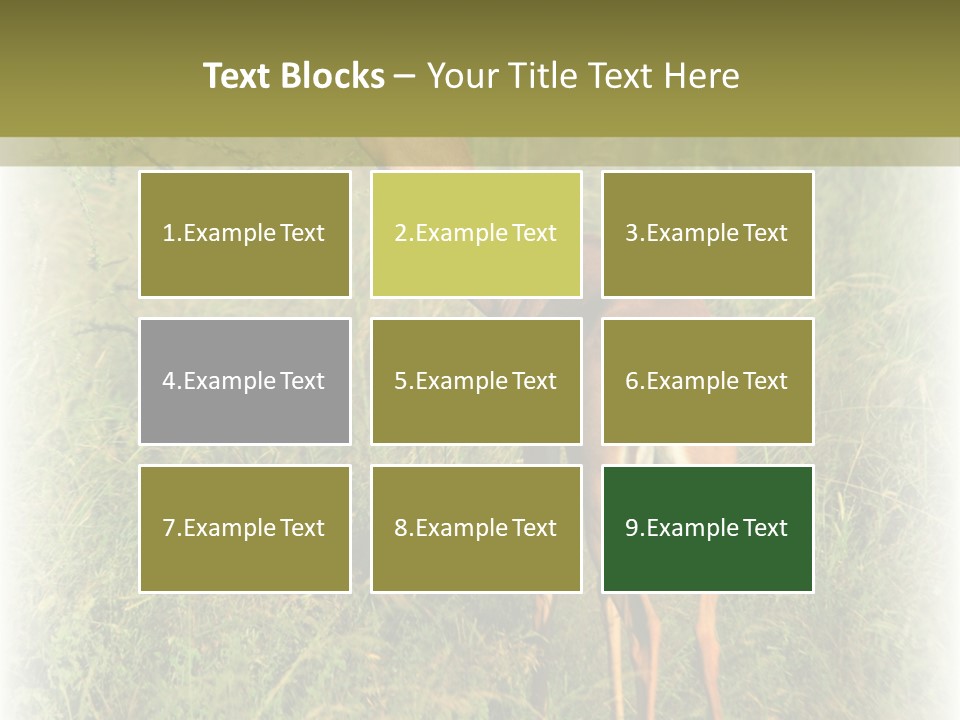 Fruit Vegetarian Juicy PowerPoint Template