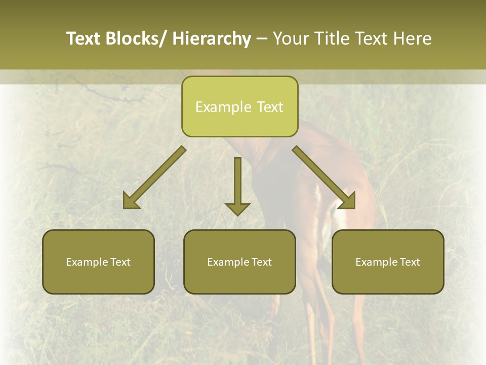 Fruit Vegetarian Juicy PowerPoint Template