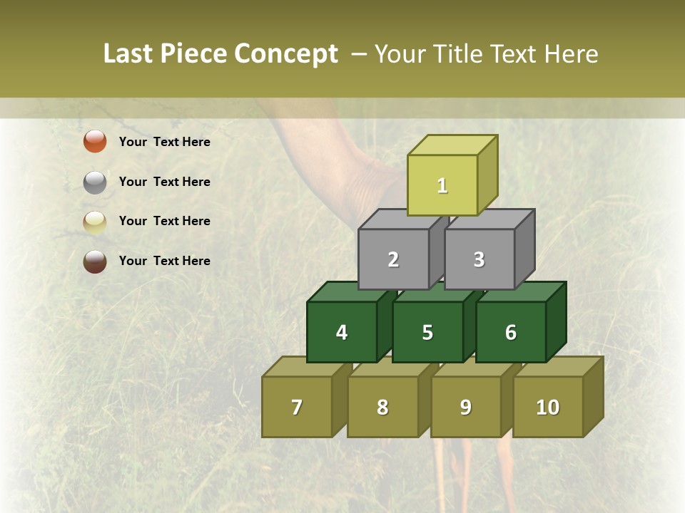 Fruit Vegetarian Juicy PowerPoint Template