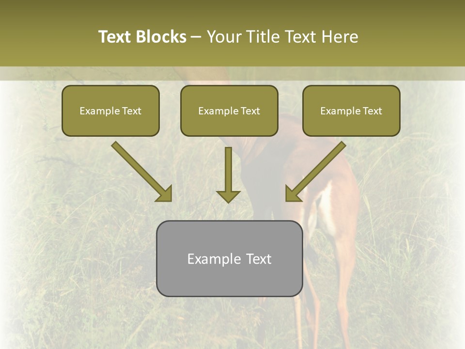 Fruit Vegetarian Juicy PowerPoint Template