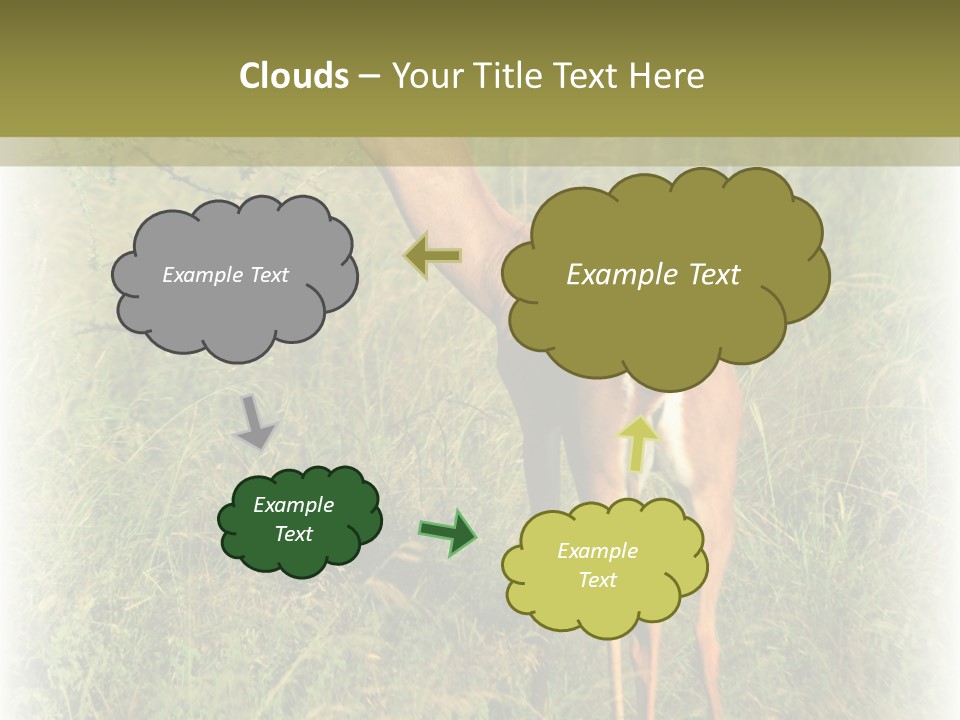 Fruit Vegetarian Juicy PowerPoint Template
