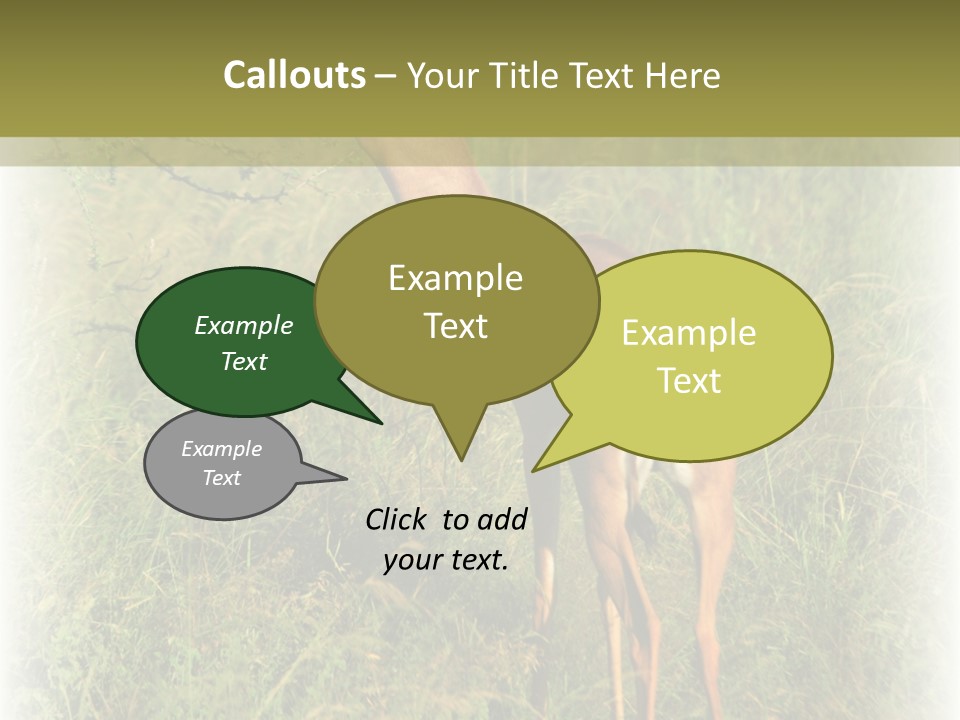 Fruit Vegetarian Juicy PowerPoint Template