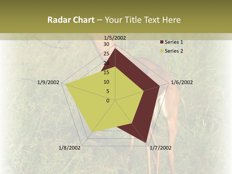 Fruit Vegetarian Juicy PowerPoint Template