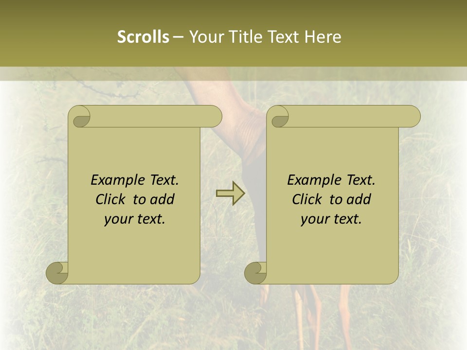 Fruit Vegetarian Juicy PowerPoint Template