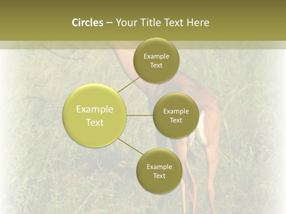Fruit Vegetarian Juicy PowerPoint Template