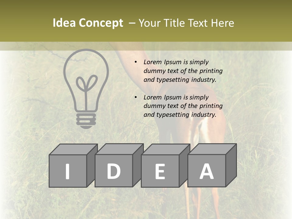 Fruit Vegetarian Juicy PowerPoint Template