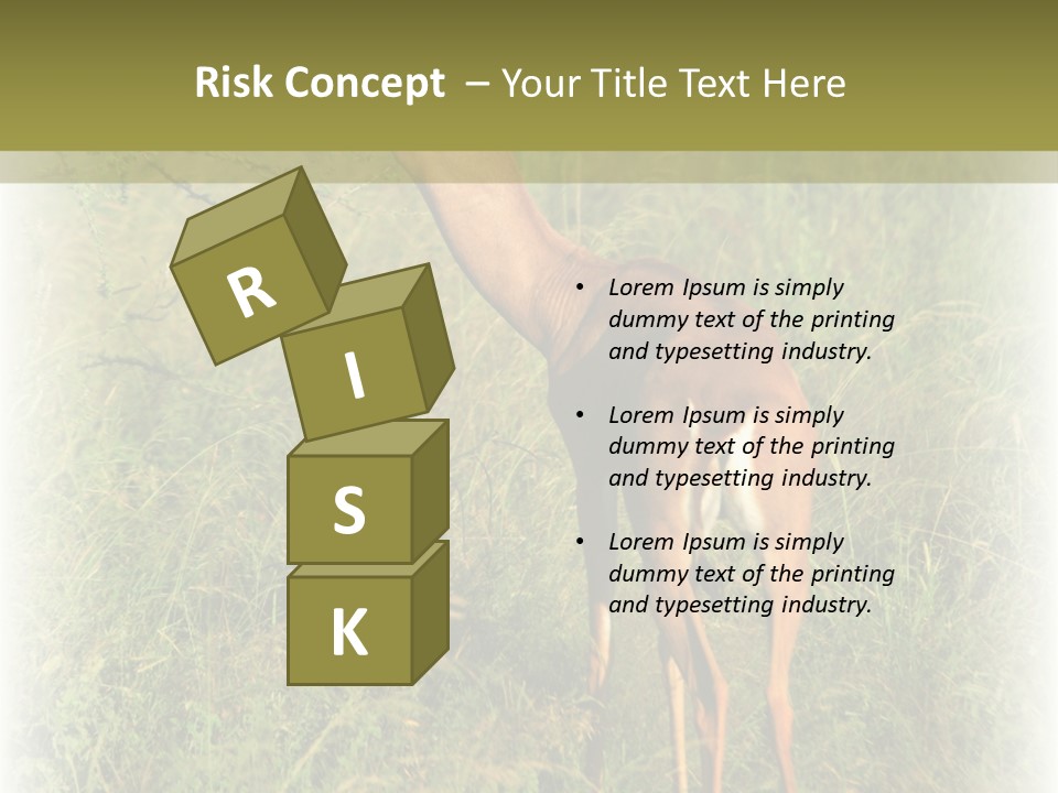 Fruit Vegetarian Juicy PowerPoint Template