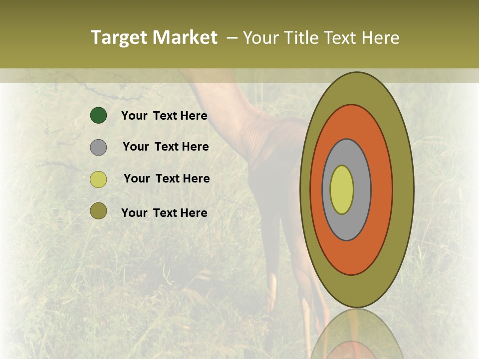 Fruit Vegetarian Juicy PowerPoint Template