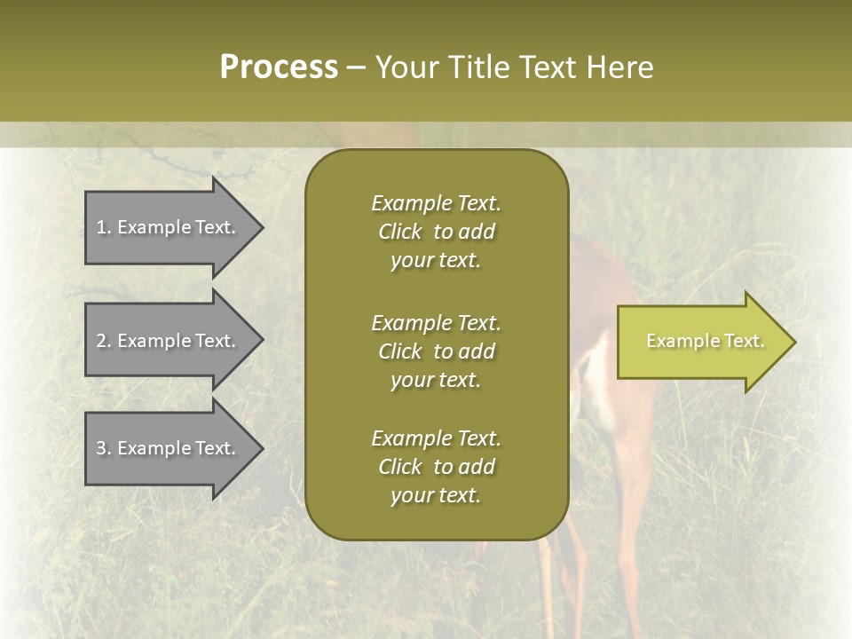 Fruit Vegetarian Juicy PowerPoint Template