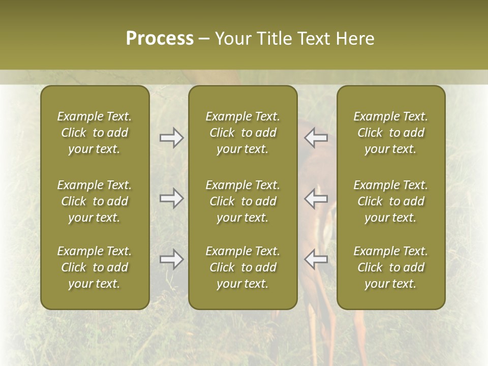 Fruit Vegetarian Juicy PowerPoint Template