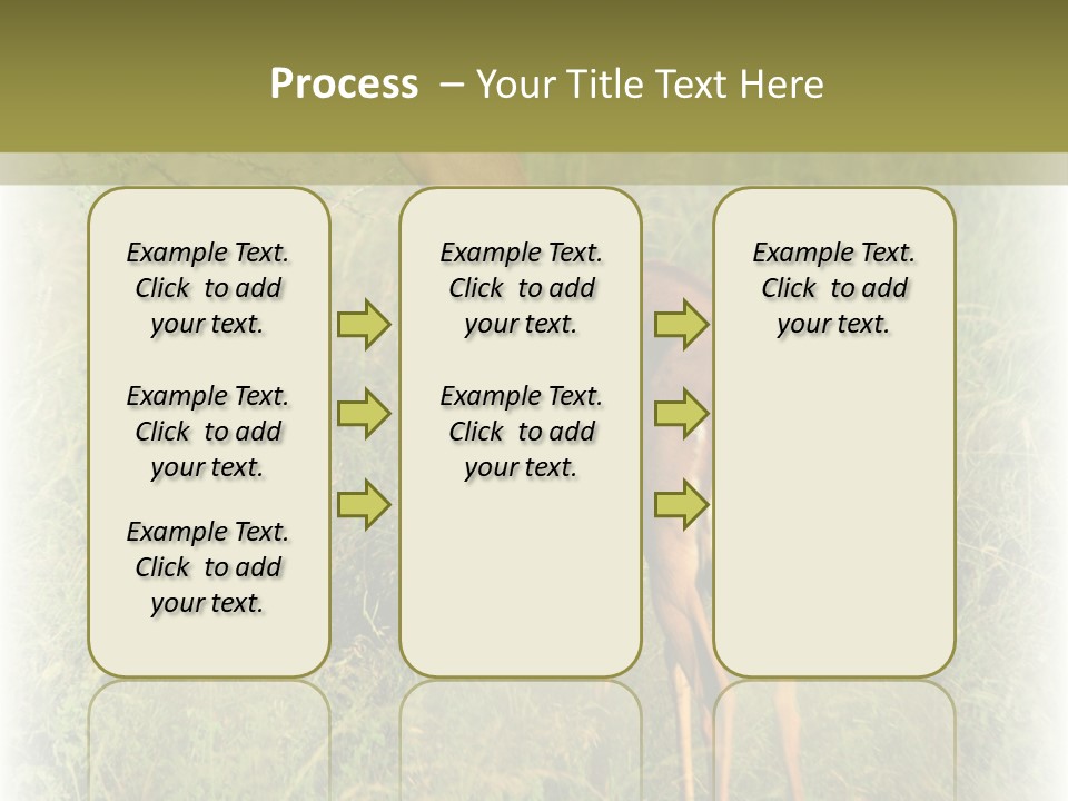 Fruit Vegetarian Juicy PowerPoint Template