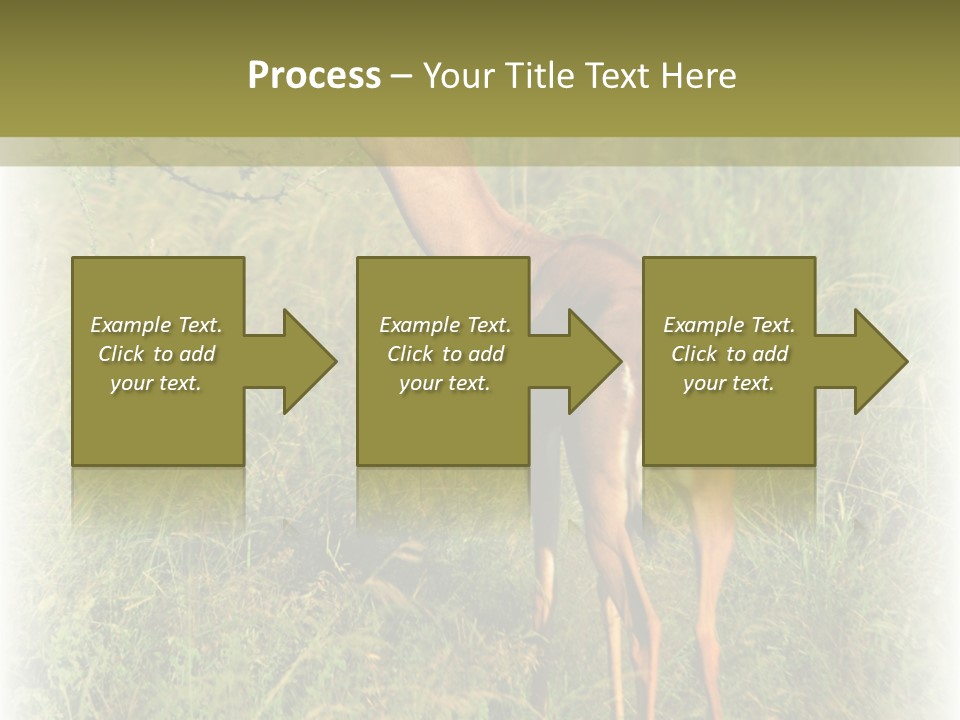 Fruit Vegetarian Juicy PowerPoint Template