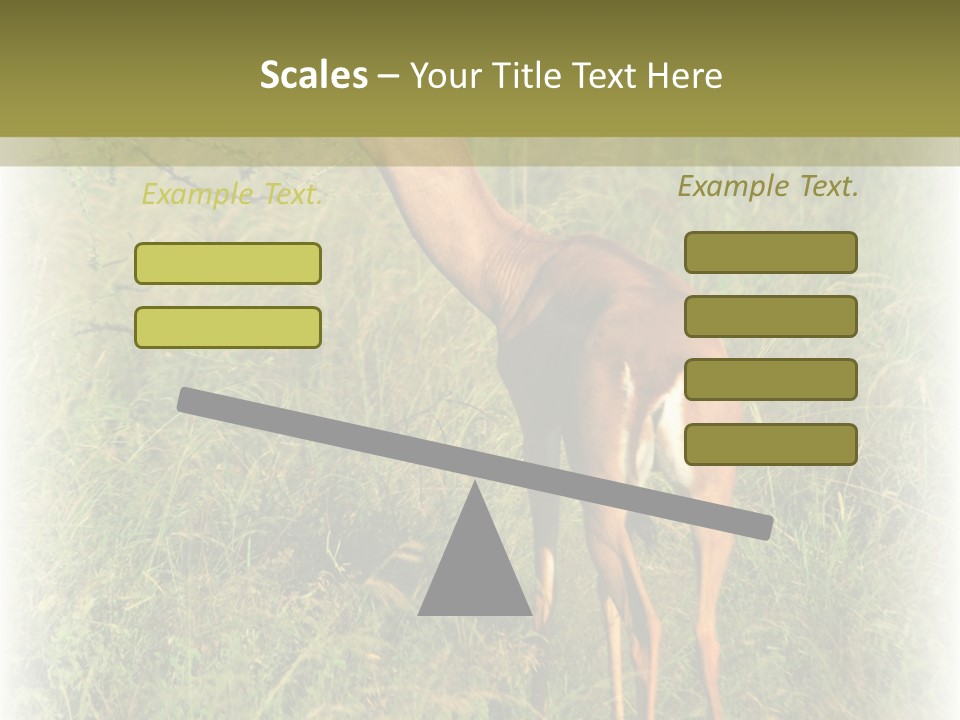 Fruit Vegetarian Juicy PowerPoint Template