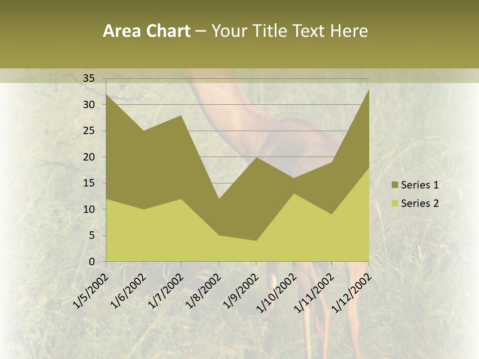 Fruit Vegetarian Juicy PowerPoint Template