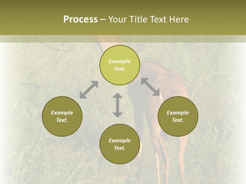 Fruit Vegetarian Juicy PowerPoint Template
