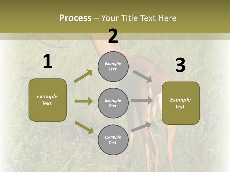 Fruit Vegetarian Juicy PowerPoint Template