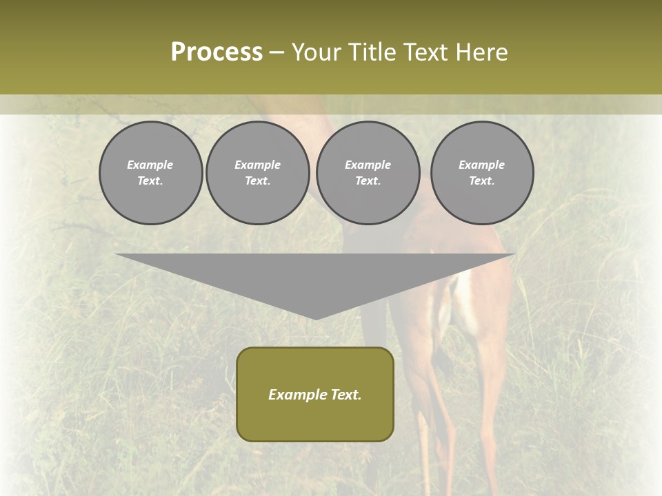 Fruit Vegetarian Juicy PowerPoint Template