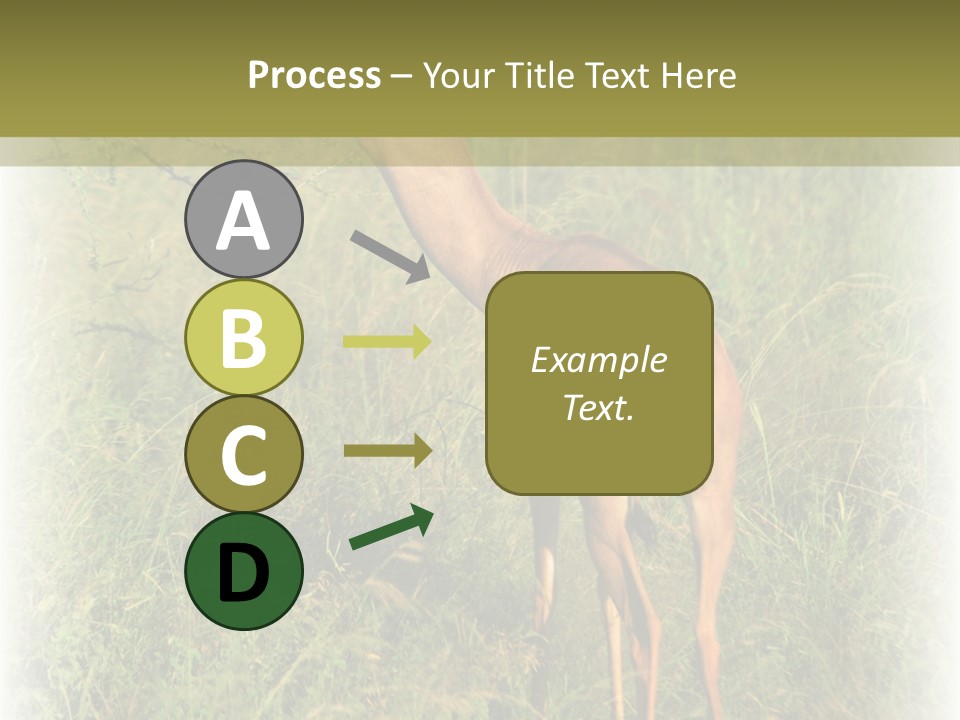 Fruit Vegetarian Juicy PowerPoint Template