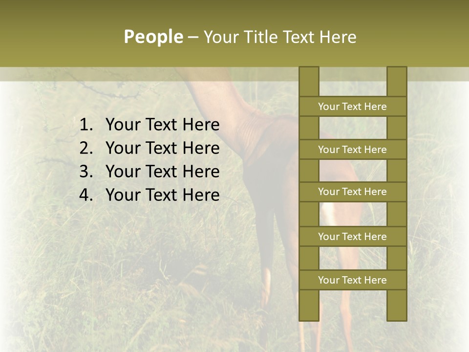 Fruit Vegetarian Juicy PowerPoint Template