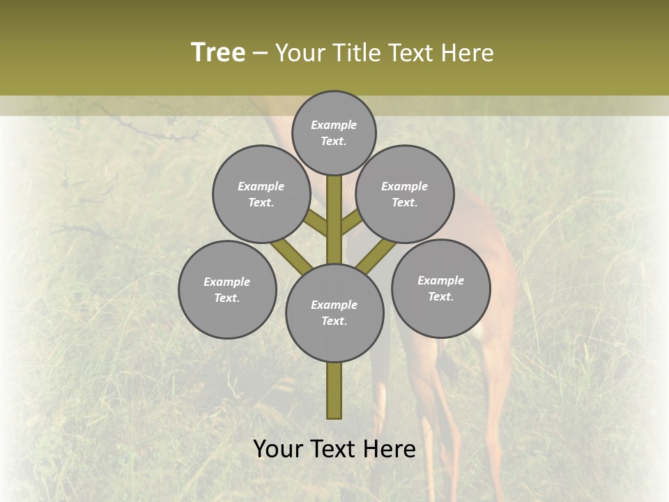 Fruit Vegetarian Juicy PowerPoint Template