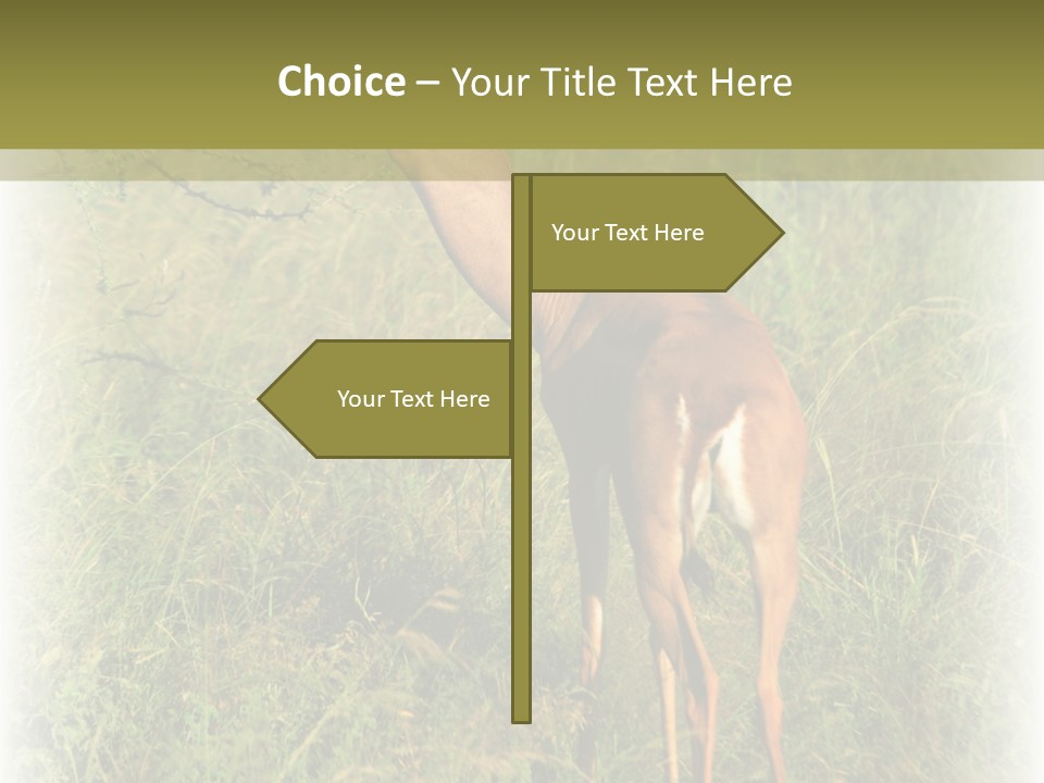 Fruit Vegetarian Juicy PowerPoint Template