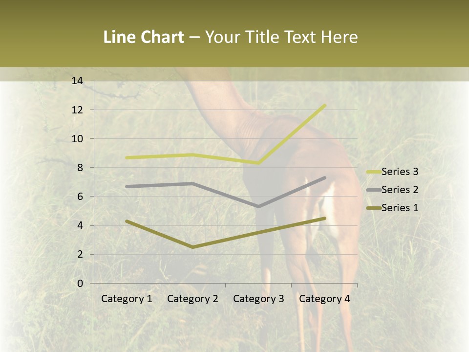 Fruit Vegetarian Juicy PowerPoint Template