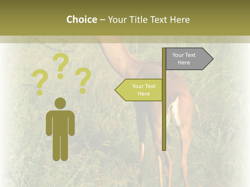 Fruit Vegetarian Juicy PowerPoint Template