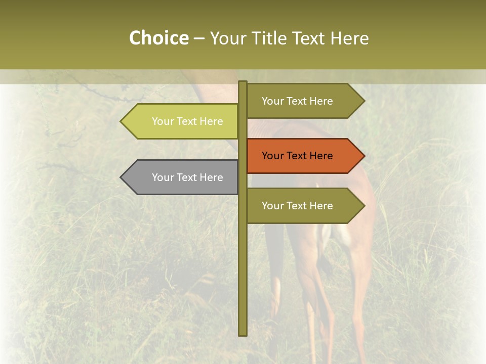 Fruit Vegetarian Juicy PowerPoint Template