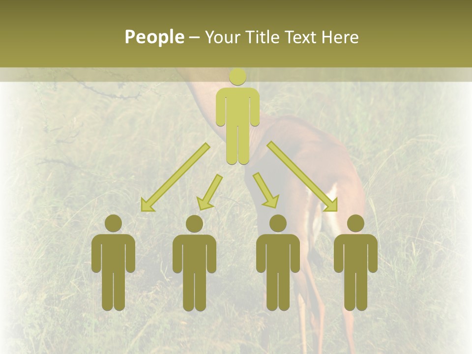 Fruit Vegetarian Juicy PowerPoint Template