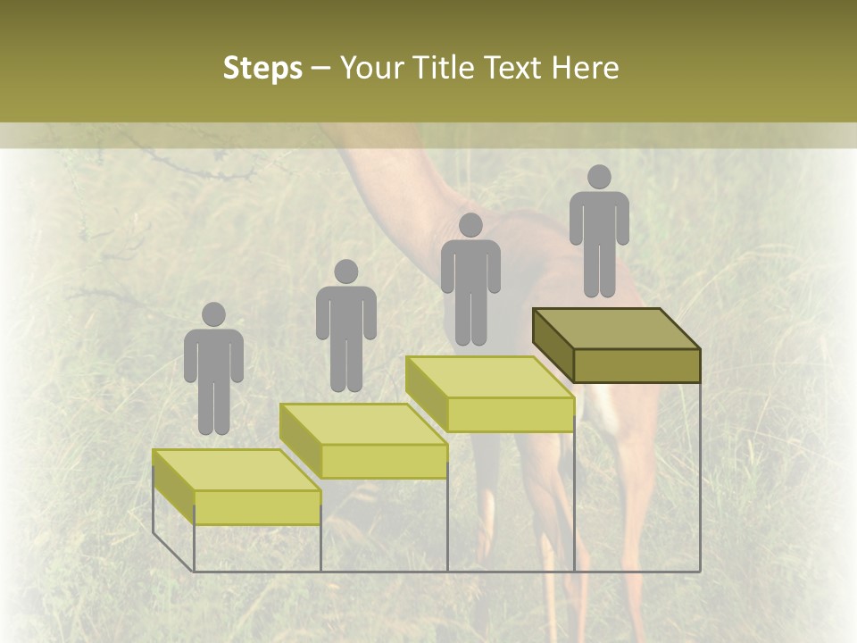 Fruit Vegetarian Juicy PowerPoint Template