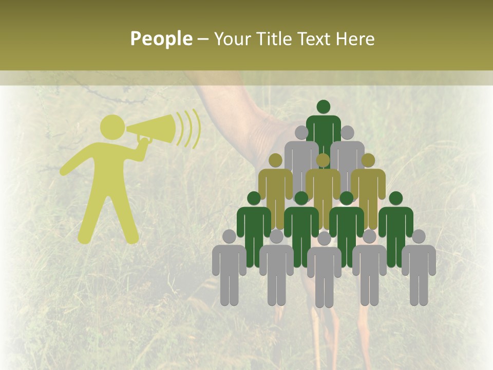 Fruit Vegetarian Juicy PowerPoint Template