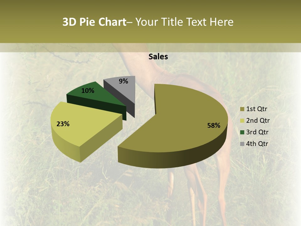 Fruit Vegetarian Juicy PowerPoint Template