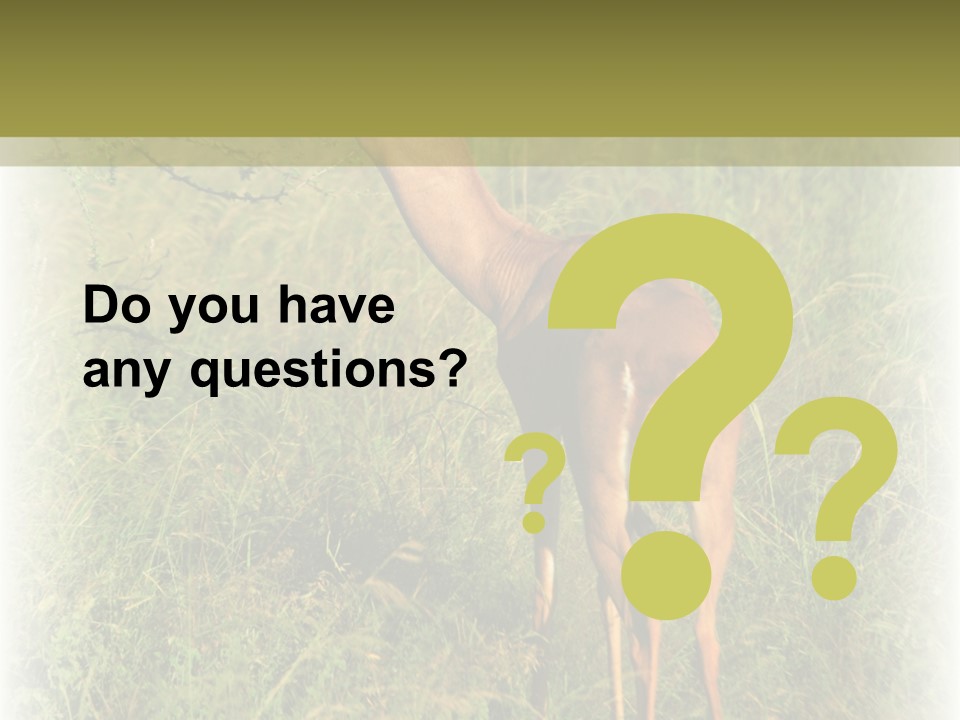 Fruit Vegetarian Juicy PowerPoint Template