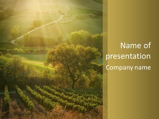 Green Farmland View PowerPoint Template