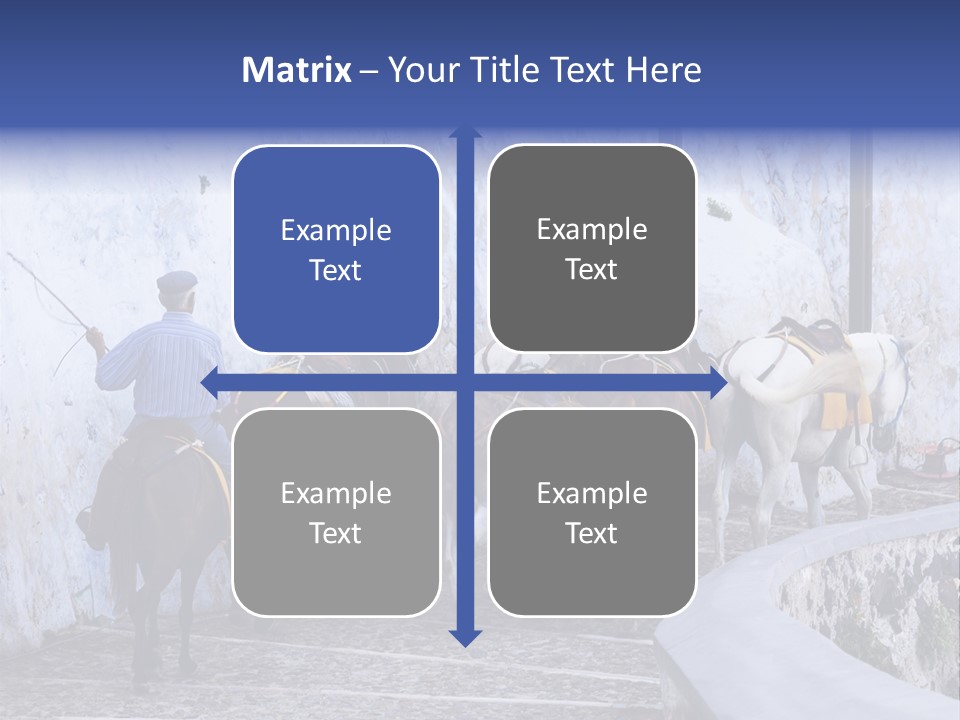 Jackass Mammal Donkey PowerPoint Template
