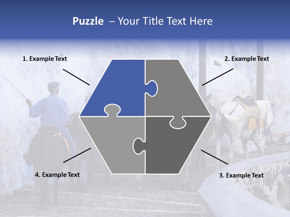 Jackass Mammal Donkey PowerPoint Template